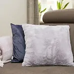 Rent like home - Nowy Świat 47A
